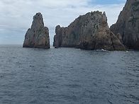 백도