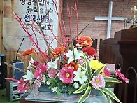 3월4주차 강단꽃꽂이
