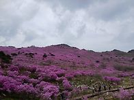 대구비슬산,