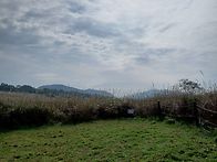 경주무장산
