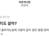 20252516 김상희 2호 기..