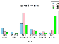 20223232 백수정 2호기사