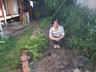 # 금포국민학교졸..