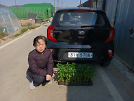 # 금포국민학교졸..