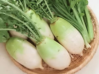 톡 쏘는 동치미