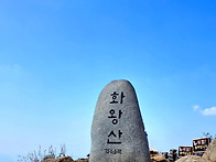 화왕산-갈대