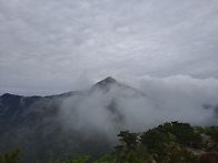 와룡산