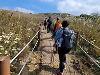 구룡산관룡산화왕산에서 길..