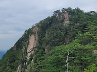 도락산 솔아솔아 (3)