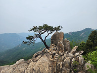 관악산 삼성산 수석전시장..