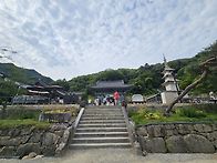 순둥이 유명산 넘어 까칠한..
