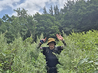 삼척 덕항산 2