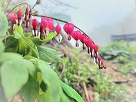 용화산 오봉산
