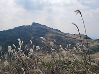 구룡산관룡산화왕산에서 길..