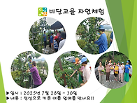 정성으로 키운 여름 열매를..