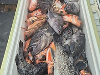 3월29일(일) 진도 피싱랜드..