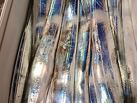 11월30일 (일) 철수 여수..