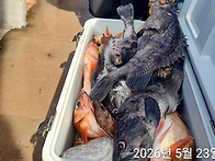 5월23일 (토) 진도 피싱랜..