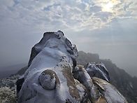 2025년12월28일(일) 서울..