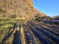 2025년11월12일(수) 강원..