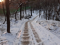 예사로 생각하다 큰 코 다..