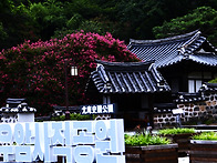 26.07.22 우암 사직공원 ..