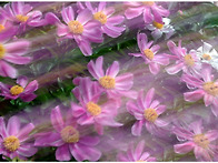 2025년 5월 21일 출사 -..