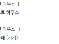 이런 테마형 집 어떠세요?