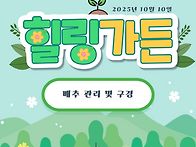 [붓다의집][힐링가..