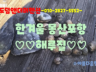 몽산포항 해루질