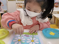 알록달록 코스모스 💐