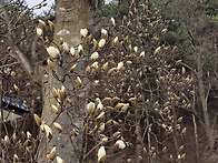 늦은 오후의 외출