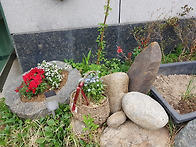 2022년도 영남실버..