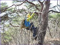충북 옥천 장령산 치유의 ..