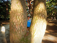 배알도/망덕산/하동 북천 ..