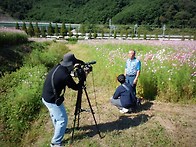 배알도/망덕산/하동 북천 ..