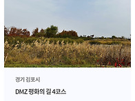 🎒DMZ 평화의..