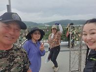 🌳 DNZ평화의길 완주 프로젝트 