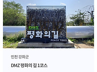 🎒 DMZ 평화의..