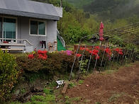 고령마당!-20190425