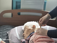 어르신, 종사자 독감예방접..