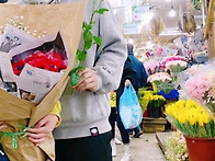 청춘꽃밴드