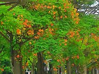 부천 중앙공원 2
