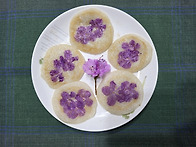 《마야의 '진달래..