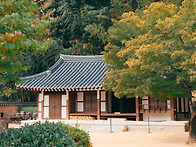 경남 의령 시골 ..