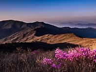 지리산(智異山) 이름 뜻