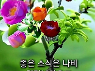 활기찬 한주 보내세요