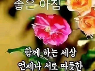 행복한 하루 보내세요