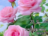 행복한 불금보내세여