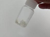 티벳버섯 수령 후기~